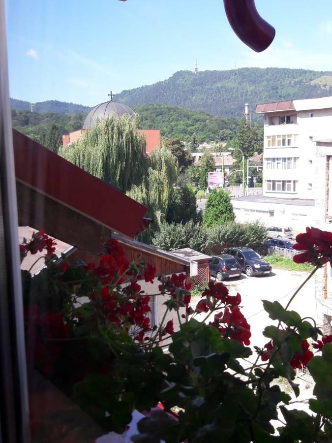 Felicita Daire Braşov Dış mekan fotoğraf